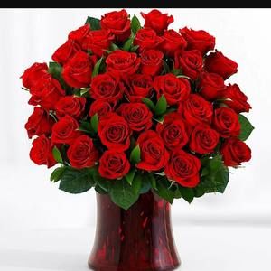 Meet your Posher, Leonor